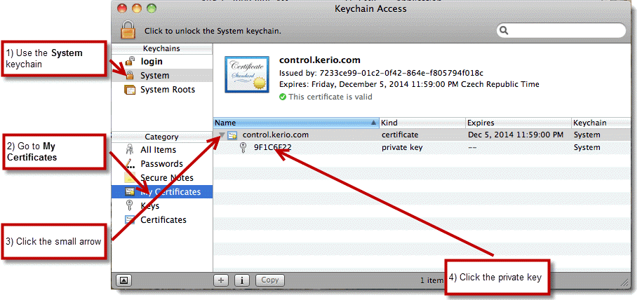 where to find vpn server address for my mac